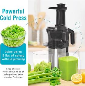 img 3 attached to 🍏 Shine Kitchen Co. Tribest SJV-107-A Slow Juicer: Sleek Silver and Black Design for Effortless Juice Extraction