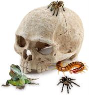 🦎 reptile house cave resin skull for aquarium decoration - perfect daily decor accent logo