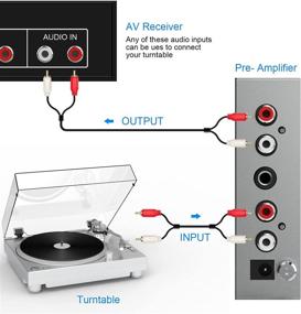 img 2 attached to 🎛️ Предусилитель для фонокорректора с RCA-входом с низким уровнем шума - мини-электронный аудио стерео-фонокорректор, выход RCA/TRS, в комплекте адаптер 12 Вольт постоянного тока