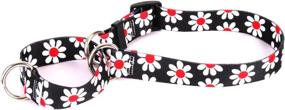 img 1 attached to 🌼 Daisies Collection Martingale Slip Collar by Yellow Dog Design