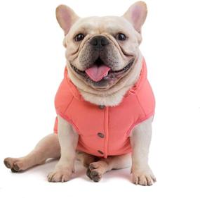 img 3 attached to The PetOne Dog Coat Vest: Warm Cotton Puppy Coat for Small and Medium Dogs, Windproof Winter Dog Clothing - Indoor and Outdoor Pet Clothing, Cute and Padded!