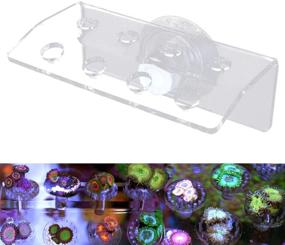 img 3 attached to 🐠 POPETPOP Coral Frag Rack – Premium Acrylic Frag Tank for Aquariums with Enhanced Suction Cup – Holds 8 Plug Holes, Ideal for Live Fish Tank Button Coral Reef Broken Frame
