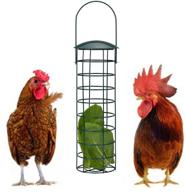 🐔 lanermoon chicken foraging coop toys with hanging iron feeding treat box and parrot bird vegetable veggie feeder logo