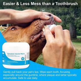 img 1 attached to 🦷 VetWELL Zymadent Dental Wipes for Cats & Dogs - Teeth Cleaning & Dental Care with Chlorhexidine - Tartar Remover, Plaque Reduction, Breath Freshener - 50 ct