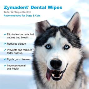 img 2 attached to 🦷 VetWELL Zymadent Dental Wipes for Cats & Dogs - Teeth Cleaning & Dental Care with Chlorhexidine - Tartar Remover, Plaque Reduction, Breath Freshener - 50 ct