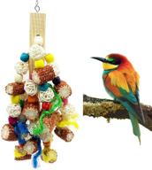 🐦 deloky bird block knots tearing toy - natural corn cob parrot chewing toy logo