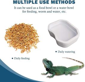 img 2 attached to 🦎 BINANO 3-Piece Reptile Water Bowls Set - Water Dish, Worm Feeder for Lizard, Turtle, Bearded Dragon, Leopard Gecko - Plastic Feeding Bowl