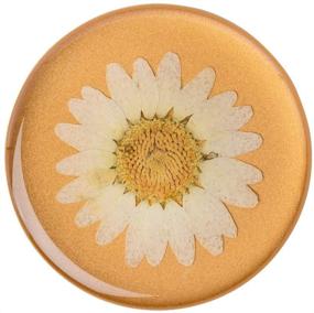 img 3 attached to 🌼 PopSockets PopGrip: Складная рукоятка и подставка для телефона с заменяемым верхом в цветочном стиле - Прессованный цветок "White Daisy