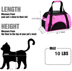 img 3 attached to 🐱 ZaneSun Soft-Sided Cat Carrier Bag – Portable & Foldable Travel Pet Carrier for Cats and Dogs – Airline Approved