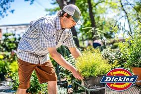 img 2 attached to 👕 Джемпер Dickies Dri Tech с управлением влагой - набор нескольких штук