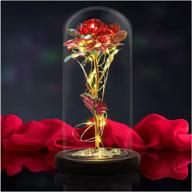 ahnner christmas galaxy rose – special gifts for mom, women, teenage girls | 🌹 beauty and the beast rose – unique gifts for women on thanksgiving, birthday, valentine's, and anniversary logo