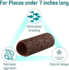 img 3 attached to Plecoceramics Medium-sized Pleco Cave Breeding Ceramic Decorations for Fish Tanks and Aquariums