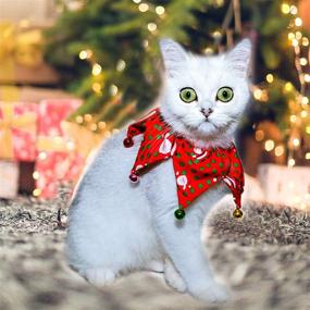 img 2 attached to 🐱 ZHENYI Adjustable Cat Collars with Bells - Lucky Kitten Collar for Female Cats, Adorable Hexagonal Star Bow Tie Training Collar for Puppies