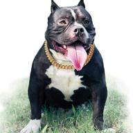 🐶 stylish gold chain dog collar: 15mm cute pet necklace for bulldogs & puppies, 17" light metal jewelry for puppy costume logo