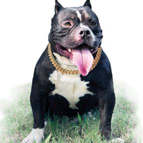 img 4 attached to 🐶 Stylish Gold Chain Dog Collar: 15mm Cute Pet Necklace for Bulldogs & Puppies, 17" Light Metal Jewelry for Puppy Costume