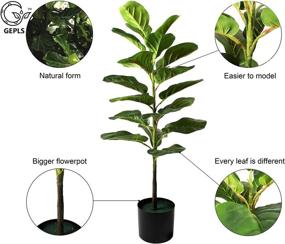 img 2 attached to 🌿 GEPLS 35-inch Tall Indoor Artificial Fiddle Leaf Fig Tree - Realistic Fake Plant with 21 Leaves - Large Decorative Potted House Tree