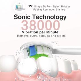 img 2 attached to 🦷 Hanasco Sonic Electric Toothbrush Rechargeable: 4 Modes, Timer, 3 Brush Heads - Pink