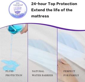 img 3 attached to 🛏️ Beclecor Premium Cotton Waterproof Mattress Protector - Soft, Breathable and Washable Bed Mattress Cover for Incontinence, Baby Pet Potty Training - Deep Up to 18" - Queen