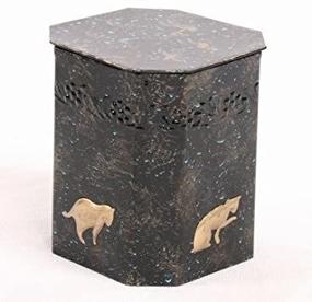 img 1 attached to 🐾 Shop Now: Stylish Pet Memory Urn for Cats, 4 Styles Available - Antique Bronze, Copper, Silver