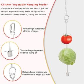 img 2 attached to 🐔 [4 Pcs Pack] Interactive Chicken Toys: Coop Feeder, Mirror, Xylophone Swing, and Veggie Holder for Hens and Chicks