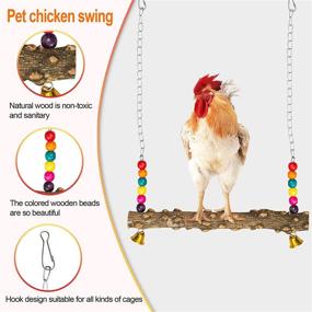 img 1 attached to 🐔 [4 Pcs Pack] Interactive Chicken Toys: Coop Feeder, Mirror, Xylophone Swing, and Veggie Holder for Hens and Chicks