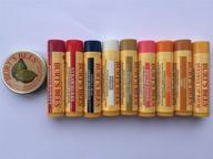 🍎 10-pack burt's bees assortment: lemon butter cuticle cream & lip balms (9) – original, apple caramel, pomegranate, vanilla bean, refreshing, hydrating, honey, strawberry, mango logo