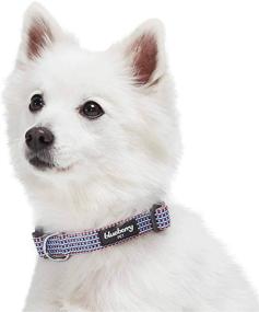 img 3 attached to Get in Shape with the Blueberry Style 2021 New Doga Variety Gift Box - Dog Collar, Yoga Strap, and Skinny Headbands for Pet Lovers