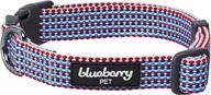 get in shape with the blueberry style 2021 new doga variety gift box - dog collar, yoga strap, and skinny headbands for pet lovers logo