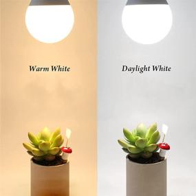 img 1 attached to 🔆 Daylight Intermediate Non Dimmable SumVibe Equivalent