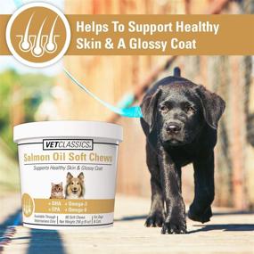 img 2 attached to Vet Classics Salmon Oil Pet Supplement for Healthy Skin and Glossy Coats – Dog and Cat Coat and Skin Supplement – Rich in Omega-3, 6, 9, DHA, EPA – Soft Chews 90 Count