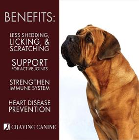 img 3 attached to 🐶 Canine Salmon Oil for Dogs - Minimize Shedding & Licking! Omega 3 Fish Oil for Easier Administration! Vitamin E Oil to Combat Skin Flakiness! Top Fish Oil for Coat & Immune Support in Dogs!