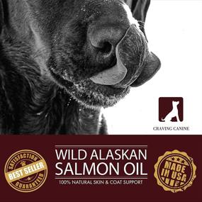 img 2 attached to 🐶 Canine Salmon Oil for Dogs - Minimize Shedding & Licking! Omega 3 Fish Oil for Easier Administration! Vitamin E Oil to Combat Skin Flakiness! Top Fish Oil for Coat & Immune Support in Dogs!