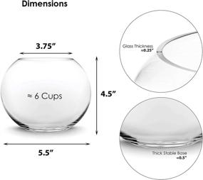 img 3 attached to 🌿 CYS EXCEL Glass Bubble Bowl: Multiple Size Choices for Fish Bowl Vase, Terrarium, Flower Vase Centerpiece