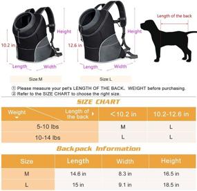 img 3 attached to 🐶 YUDODO Reflective Dog Carrier Backpack – Front Pack for Small-Medium Dogs, Cats, and Rabbits – Safe Pet Travel Carrier for Bike, Motorcycle – Outdoor Hiking