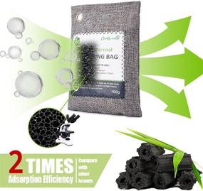 img 3 attached to Nature Fresh Bamboo Charcoal Air Purifying Bags - 10 Pack of 100g Activated Charcoal Bags for Home, Closet, and Car Odor Elimination and Freshness