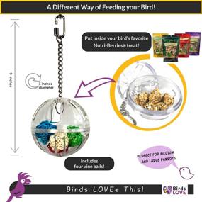 img 2 attached to 🐦 Birds LOVE 3" Hanging Clear Foraging Plastic Perforated Ball with Vine Balls - Medium and Large Bird Cage Toy