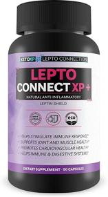 img 4 attached to Lepto Connect Plus Resistance Supplements