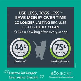 img 2 attached to 🐾 Boxiecat Premium Clumping Cat Litter - Clay Formula - Strong Odor Control, Ultra Clean Litter Box, Long-lasting, Hard Clumping, Minimal Dust (Gently Scented)