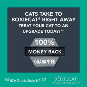 img 1 attached to 🐾 Boxiecat Premium Clumping Cat Litter - Clay Formula - Strong Odor Control, Ultra Clean Litter Box, Long-lasting, Hard Clumping, Minimal Dust (Gently Scented)