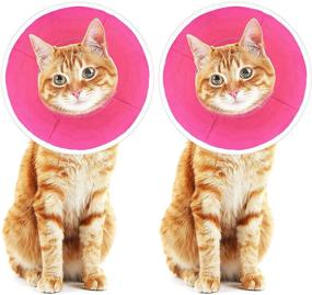 img 4 attached to 🐱 Tondiamo Adjustable Cat Cone Collar - Soft Recovery Cone for Cats, Healing Wound Protection, 2-Piece Set