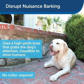 img 3 attached to PetSafe Outdoor Ultrasonic Bark Control: Effective No Barking Deterrent 🐶 for All Dog Sizes on 1/4 Acre - Weatherproof Bird House Design