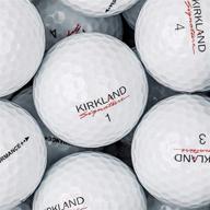 kirkland signature near mint grade logo