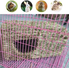 img 2 attached to 🐇 Hamiledyi Natural Rabbit Seagrass House Mat: The Ultimate Hideaway Hut Toy for Guinea Pigs, Hamsters, Chinchillas, Ferrets, Bunnies, and Small Animals