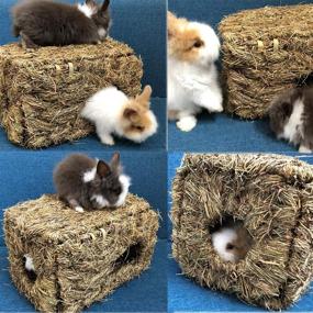 img 3 attached to 🐇 Hamiledyi Natural Rabbit Seagrass House Mat: The Ultimate Hideaway Hut Toy for Guinea Pigs, Hamsters, Chinchillas, Ferrets, Bunnies, and Small Animals