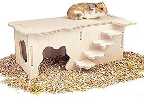 img 1 attached to 🏡 Premium Hamster Wooden Houses with Steps - Hideout, Multi Chamber Room for Hamster, Syrian Mice, Gerbils, Mouse, Dwarf