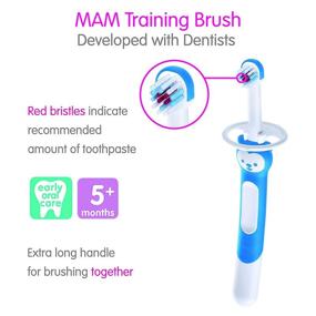 img 3 attached to 🐻 MAM Обучающая зубная щетка для младенцев: синяя щетка с медвежонком, улучшенная приложение, безопасный щит, для возраста от 5 месяцев