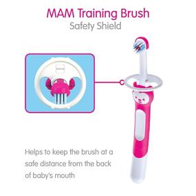 img 2 attached to 🐻 MAM Обучающая зубная щетка для младенцев: синяя щетка с медвежонком, улучшенная приложение, безопасный щит, для возраста от 5 месяцев