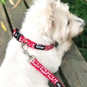 img 2 attached to 🐾 Azusa Adjustable Nylon Dog Collar and Leash Set with Foil Printing, Matching Dog Bone Pattern, Ideal for Small, Medium and Large Dogs