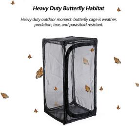 img 3 attached to 🦋 RESTCLOUD Butterfly Collapsible Terrarium Protection: High-Quality Enclosure for Ultimate Butterfly Care and Safety