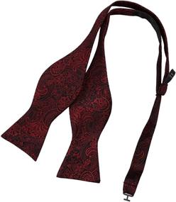 img 4 attached to EBAB0139 Patterned Microfiber Groomsmen Epoint Boys' Accessories : Bow Ties